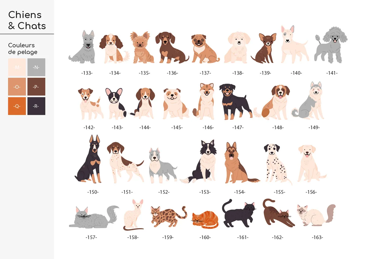 affiche portrait de famille